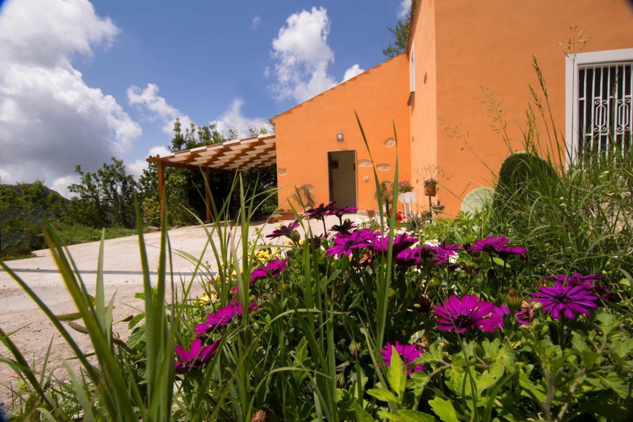 B&B Casa Vacanze Benvenuti Al Sud Aiello Calabro Exterior photo